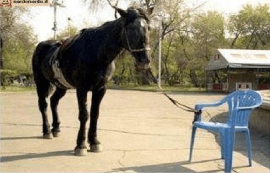 Screen Shot 2018-02-25 at 10.25.29 AM